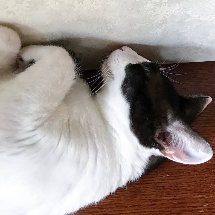 8e443c6b 0d53 4d2e 94b5 ec52df8be2a9