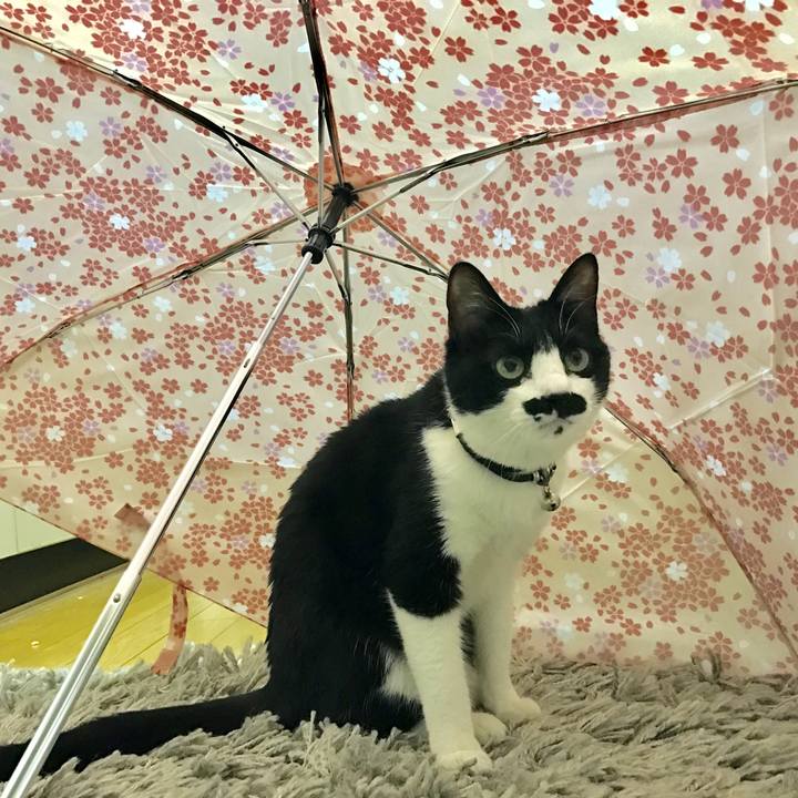 8e446e81 069e 4e4b 8bb0 2b7f05f894d3