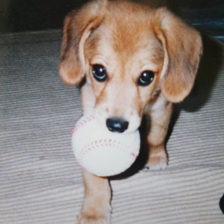 8e44a97a 534f 4cd5 8879 178b9c190b4c