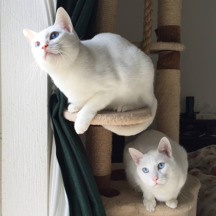 8e44dc79 f913 46b7 ad4e e155e93cedfe