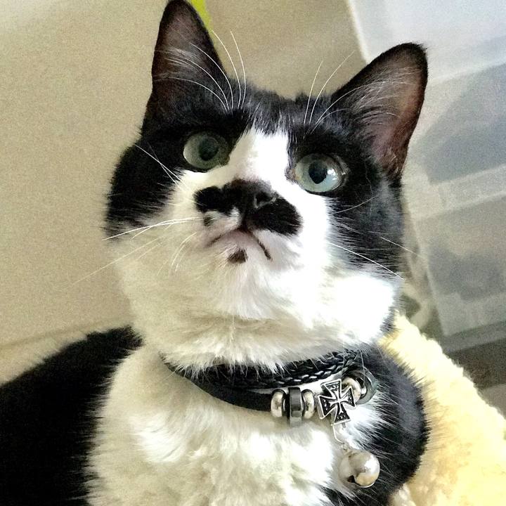 8e45a2eb c713 47d3 a3b9 595db1df33f7