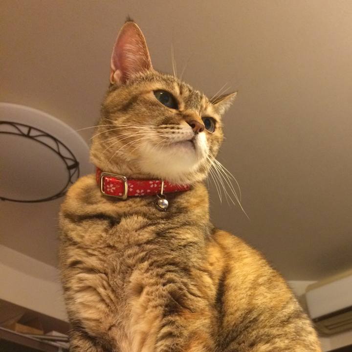 8e45d191 f5a4 4e5c 9907 42b6ae5387f5