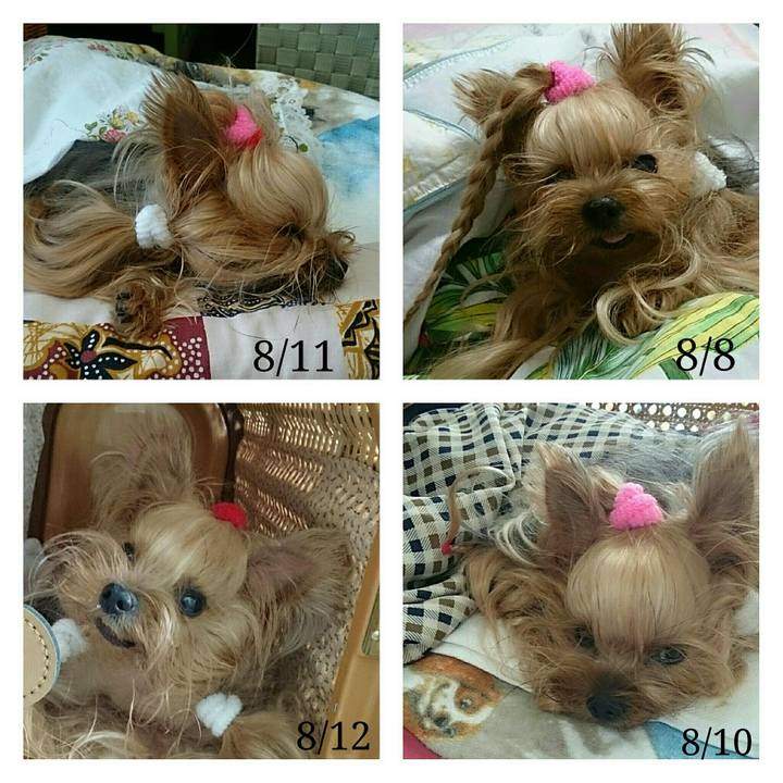 8e46440e 95ef 4c9e 8d6d 548db715bd81