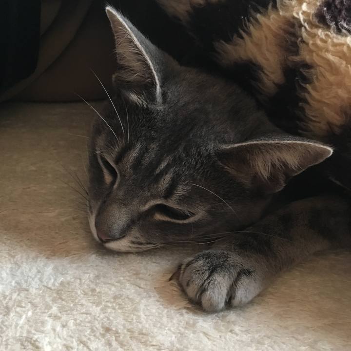 8e4669e9 71eb 4910 9bdd 51a7a394d218