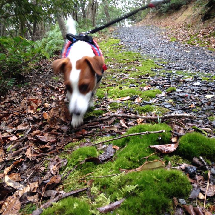 8e4682df 1fef 4223 9cfe 386157545f2d