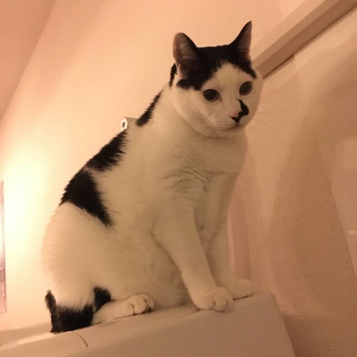 8e4716cd 3b10 4dfb b76d 9ac6f737aab3