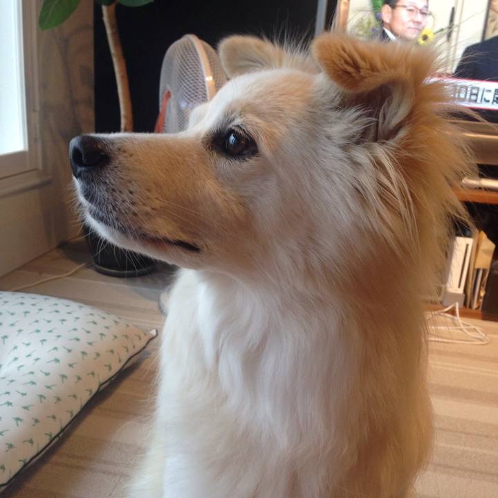 8e475e83 a8d6 47e1 be16 577dfc5e8c48