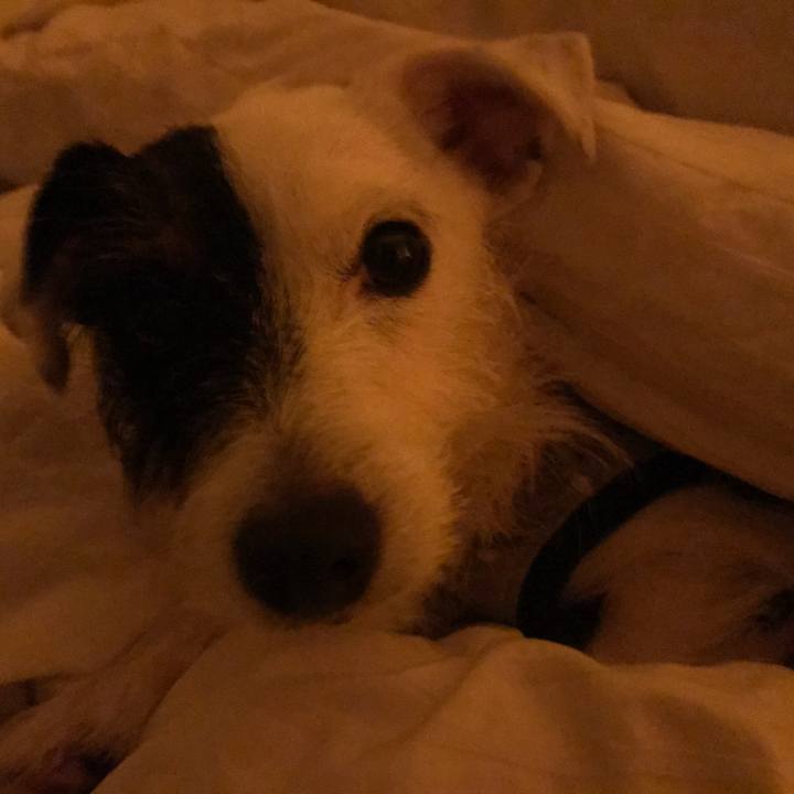 8e475fbc c7f1 4f02 af81 4e5ea032d97f