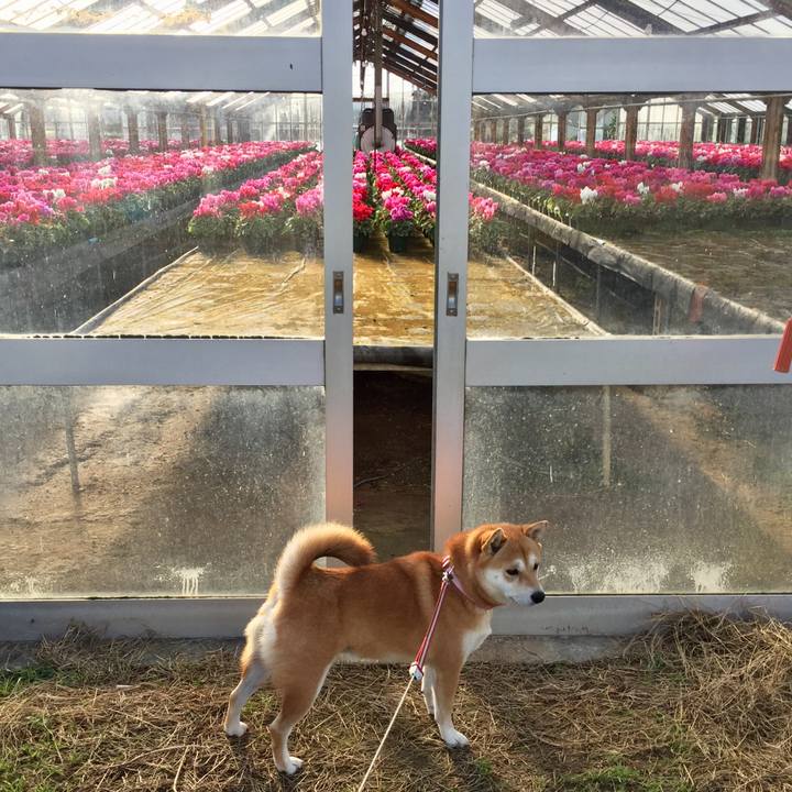 8e478e49 6a7b 4429 befd ed6aac514340