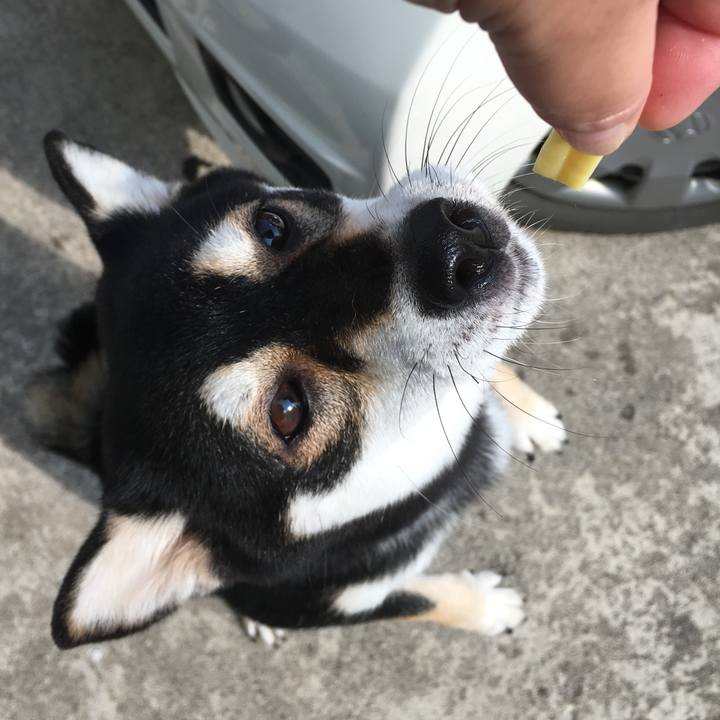 8e484e48 e264 4a0a af02 1b09c281893e