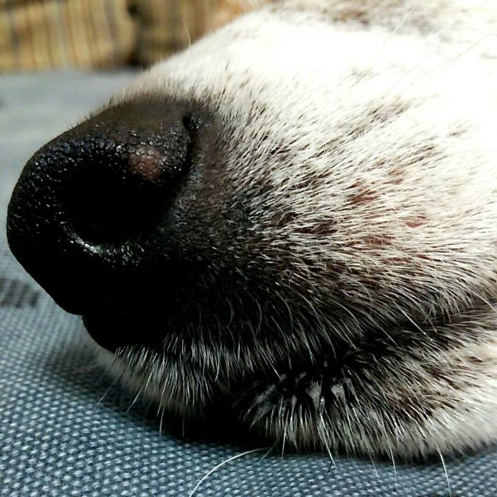 8e48c1d7 810b 41a9 8ba2 c016bb2cfa63