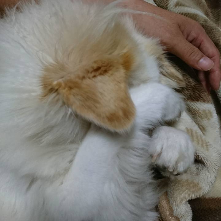 8e494082 d827 4ed5 a0ba fc885df14e37