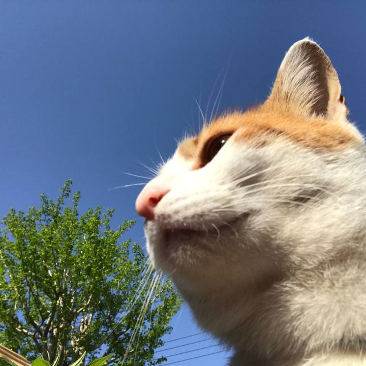 8e49d6d4 f8c7 4eea b99a 735f8cdaaad4