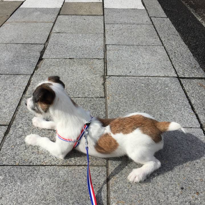 8e4aaca2 d7d2 4ed6 b9fc f0873933c556