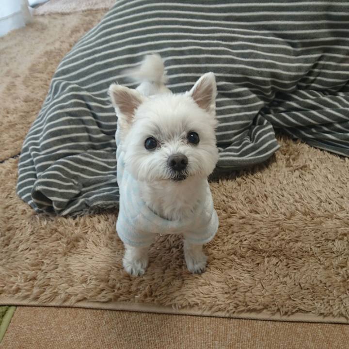 8e4b2f22 99ab 4ab0 9899 3c030da8cd2c