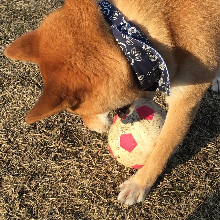 8e4b3d0c ac3e 4c37 adb9 53fb01204a0c