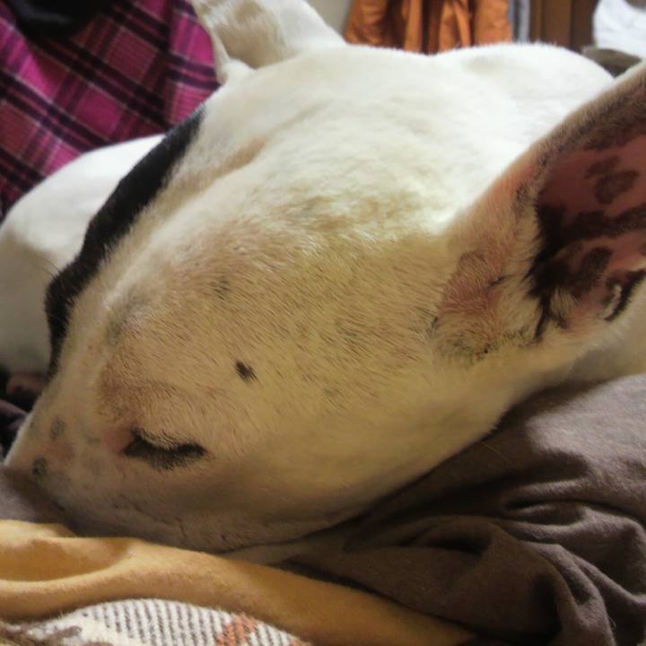 8e4b51aa 1ce4 4301 9e79 57cf4fcd7892