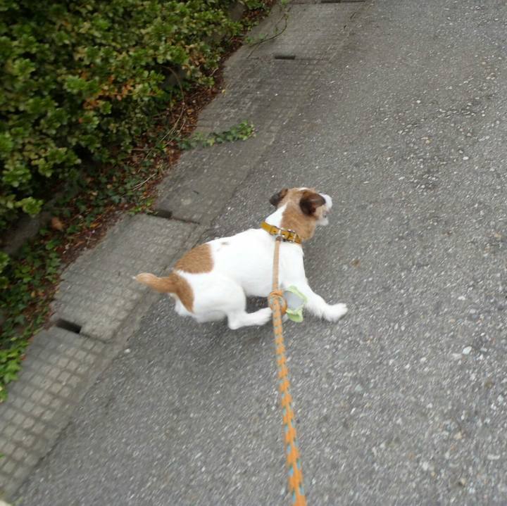 8e4b6c21 b99c 4a74 b5bf b95cae89b297