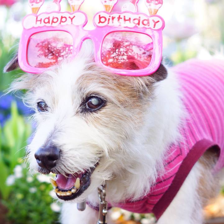 8e4b9043 cdd7 4672 8026 8ef4c5b52bab