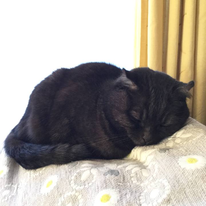 8e4cc479 34b8 401a a57b d7b66cc3cbd7