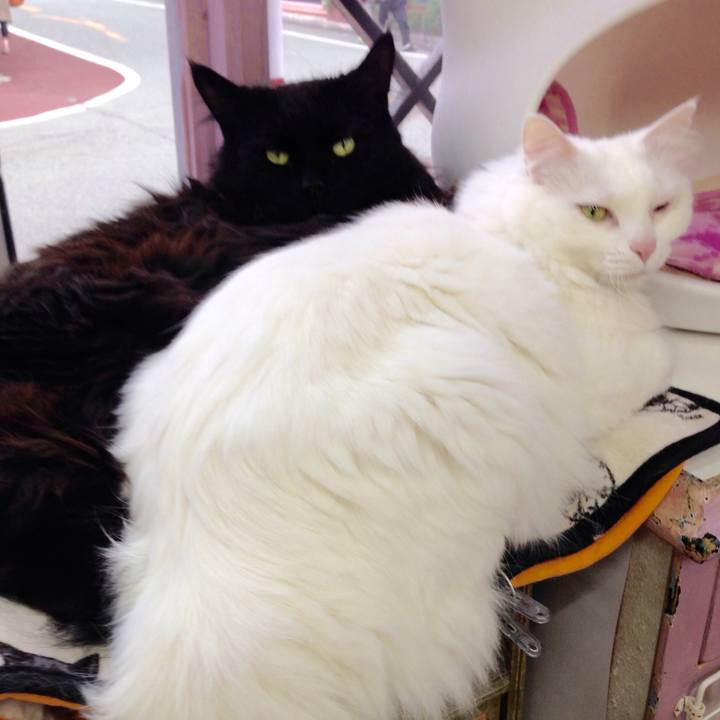 8e4da84a 7502 4f7d ab83 82bf7831002e