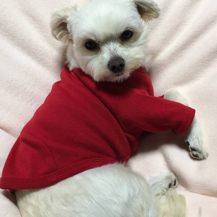 8e4e075a 193a 4f95 845a eb622e2f2772