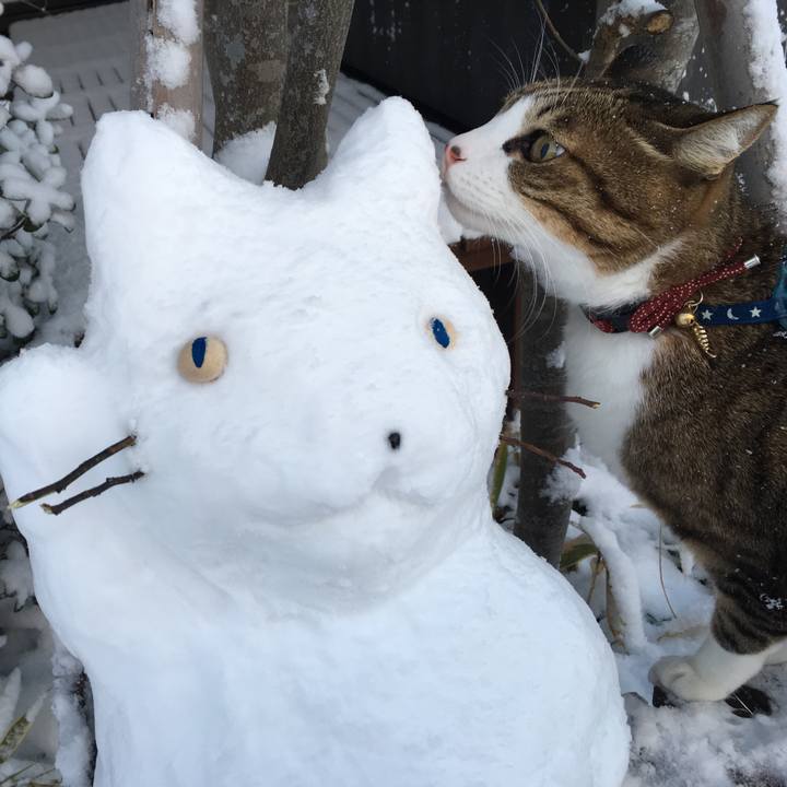 8e4ea7ea ae2e 439f a4e2 063fe1c5d8f3