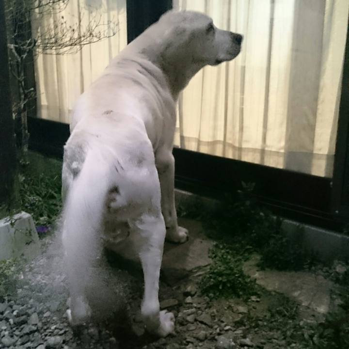 8e4ead02 ebf9 472e a842 ddb123d87a14