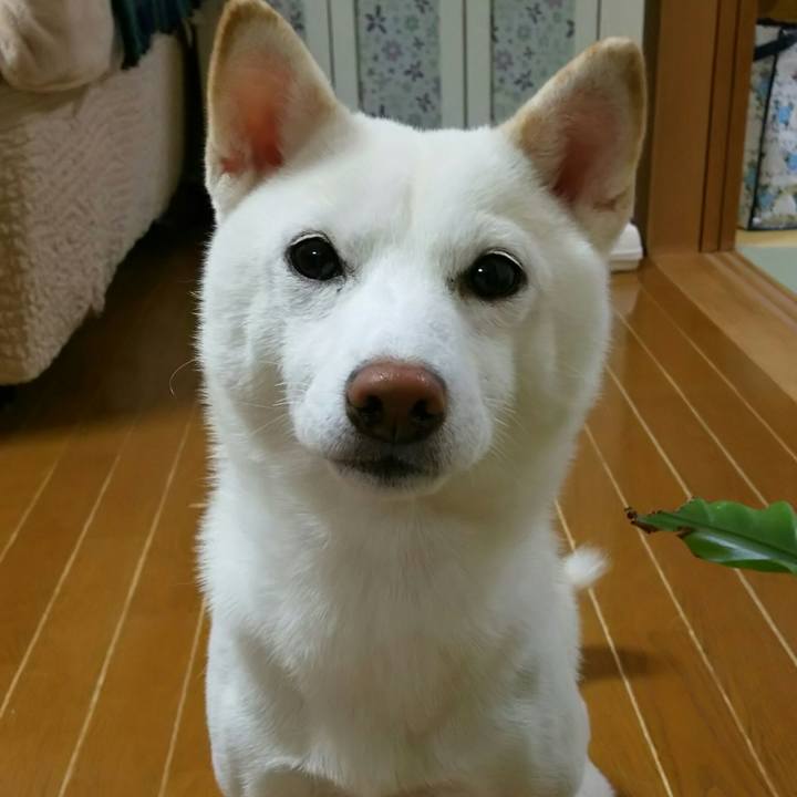 8e4ef0f9 a5fc 4172 b8b4 6c97f3d023ee