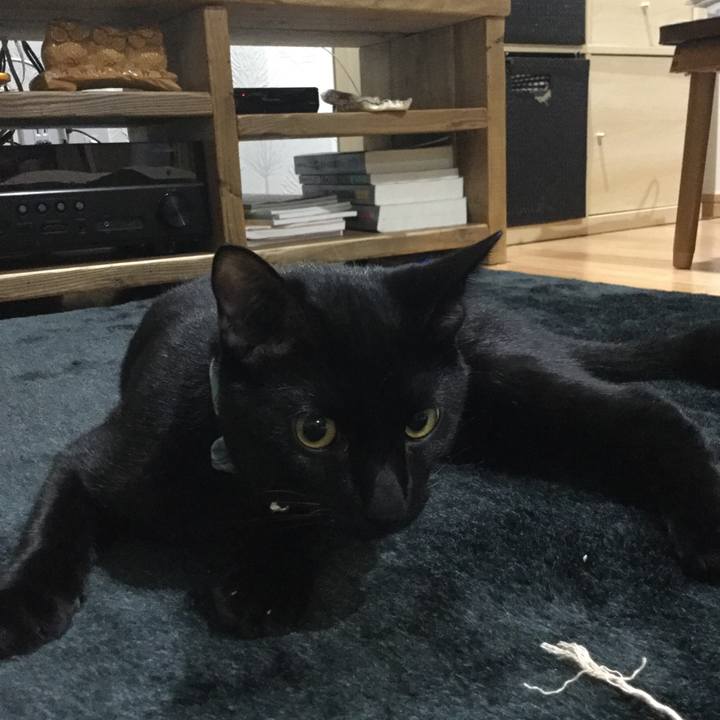 8e4f62f2 d808 41a6 8f76 ef2ee08442ec