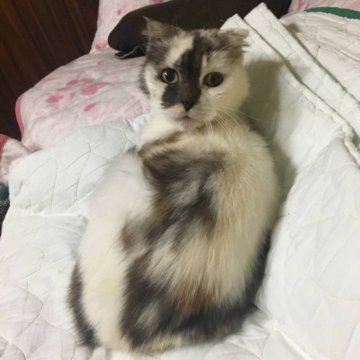 8e4f9eb4 2c0b 4801 9a8d 235790a07f87