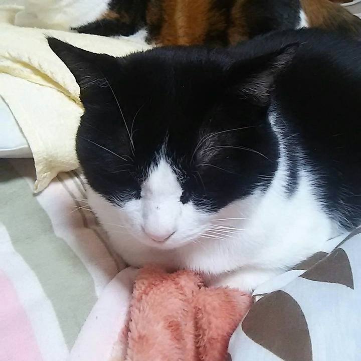 8e4fe282 72ae 44ea abab 58c4d6947192