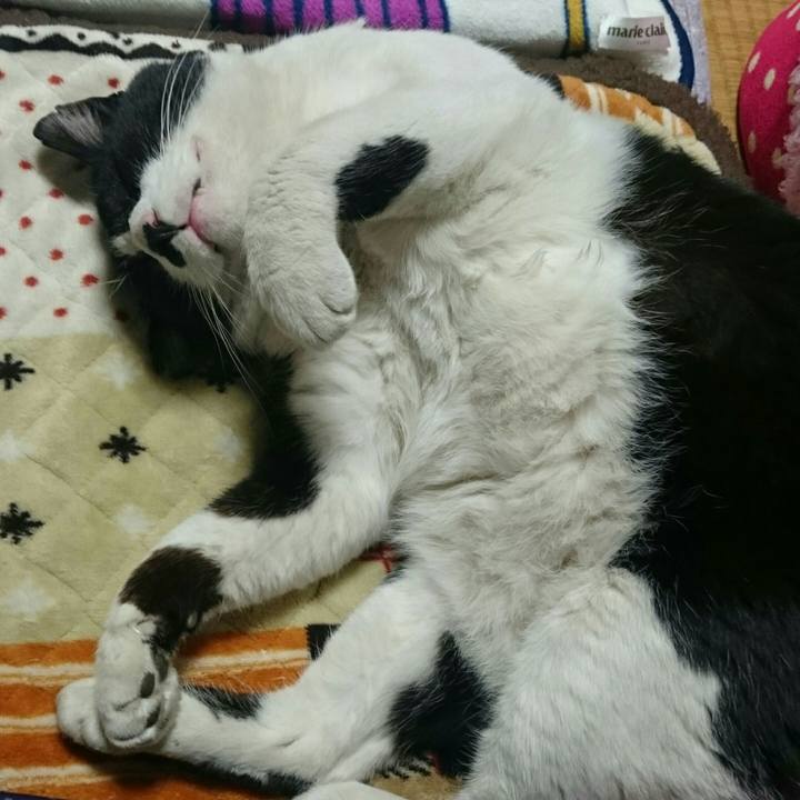 8e50196d c24f 4902 bb92 7ee406ea7729