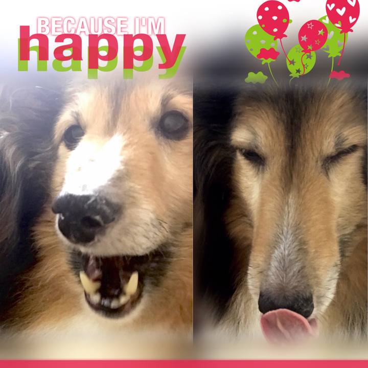 8e5020b6 aec0 455a b539 fabc3ab2532a