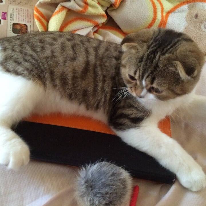 8e50f4ac 7ae5 4918 b9c8 2ca03b928600