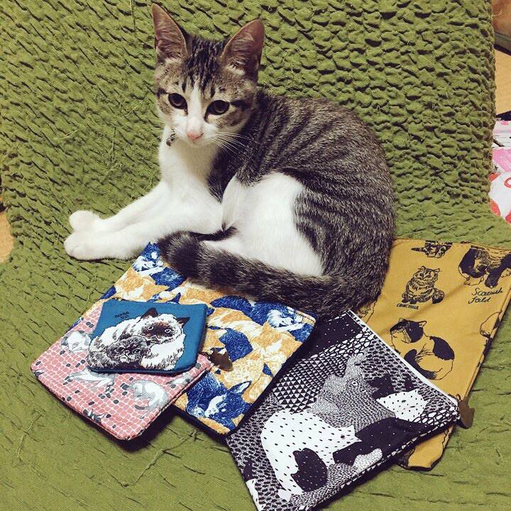 8e510099 4168 4374 bd2b 112a65eb0b62