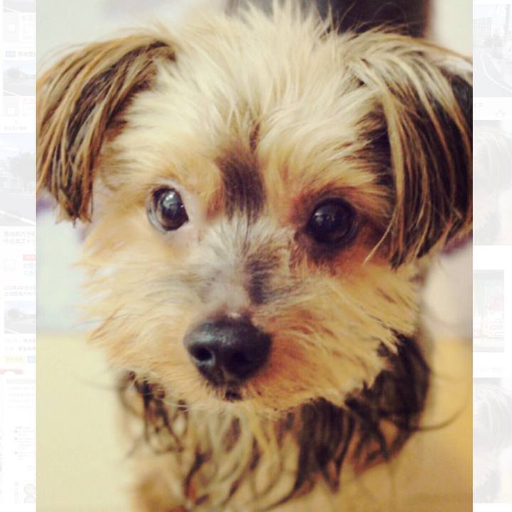 8e51ed72 97e6 4b2c 8a31 023c84696491