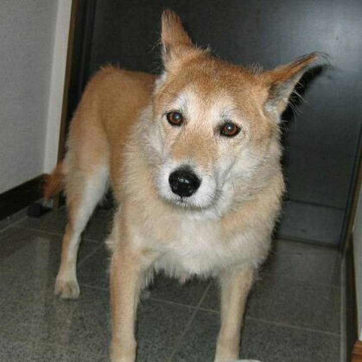 8e52b981 1cc2 480d a7d0 63e135e4c5ac