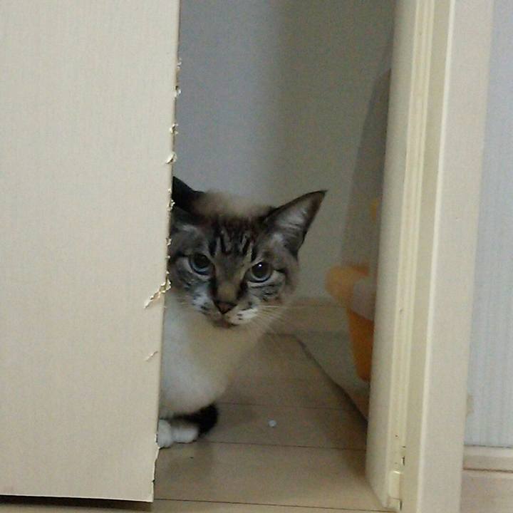 8e52ba07 0ce5 4942 bec3 c29f601e8233