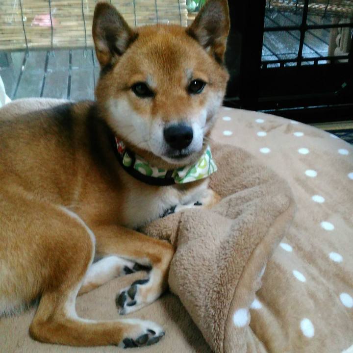 8e52e78a 67ea 4e14 86f8 df9f361b2172