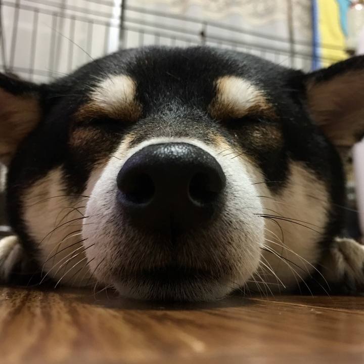 8e52f6ad 249c 41ed 9a6a 622b851c594c