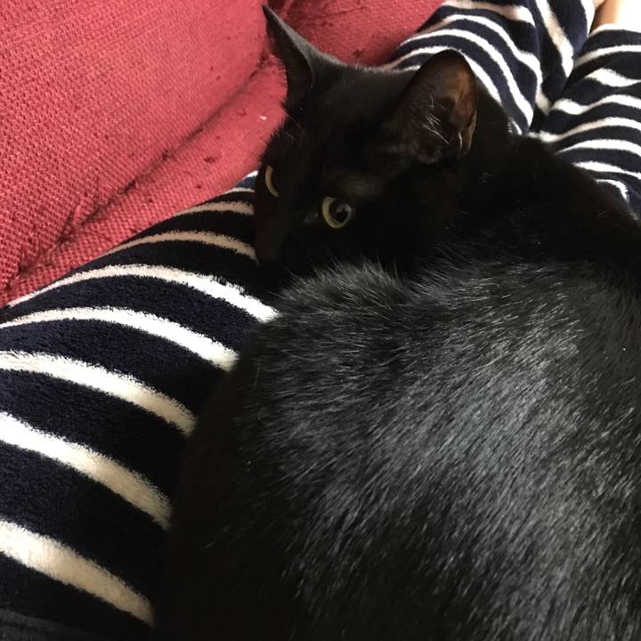 8e52ff21 4ac5 4f15 b2eb 5990d8d55c3b