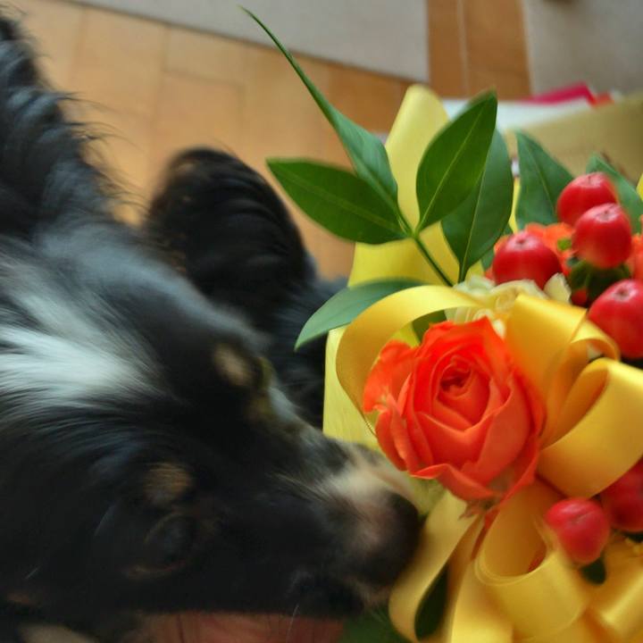 8e534daa 0ae2 4542 9941 098fc3732994