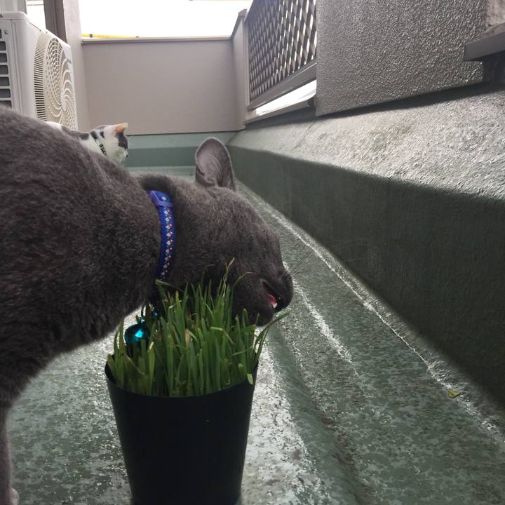 8e535bd9 f80e 40a0 815e 490b59e9ef0e