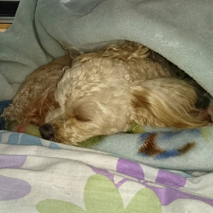 8e5419ab c9fe 49b4 bf60 ddf71131827c