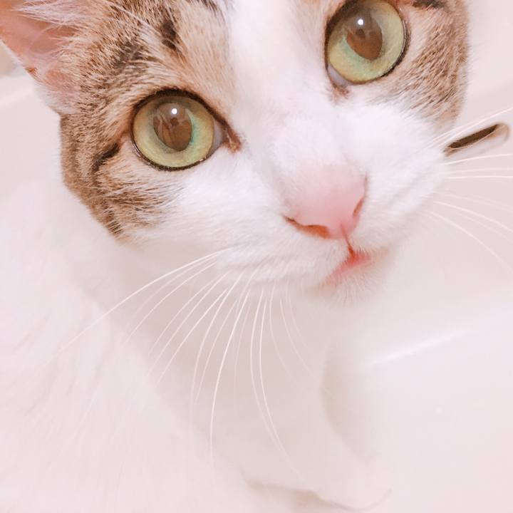 8e54c79e 9c01 42a8 9851 0a4505f37699