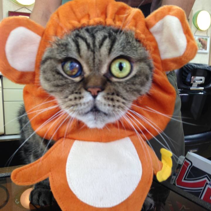 8e54d524 aa1b 4ab9 ab5f bbe7fde00cf5