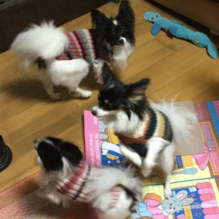 8e55eab7 1dbc 488a 9d9d 4093d45dc68d