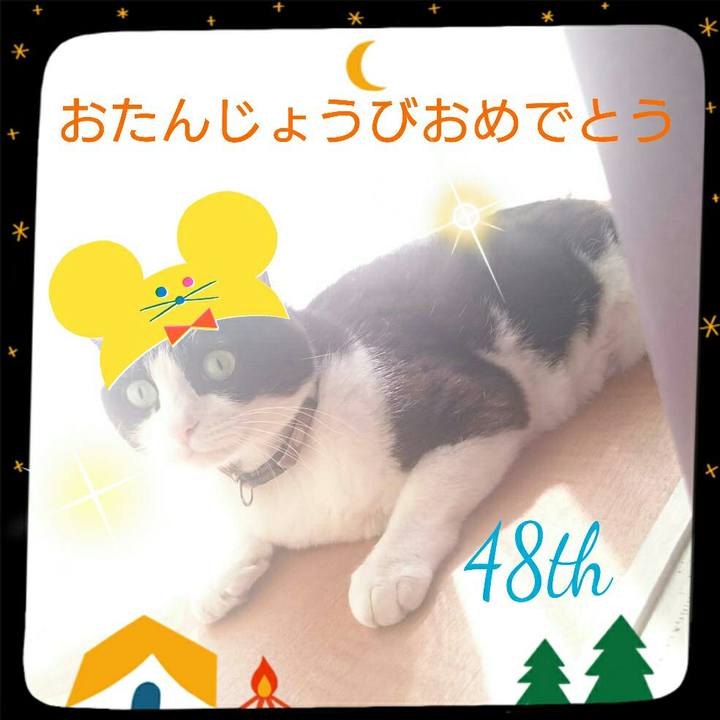 8e55ebbf 4e34 4b3f 88af 1fa437ecbe40