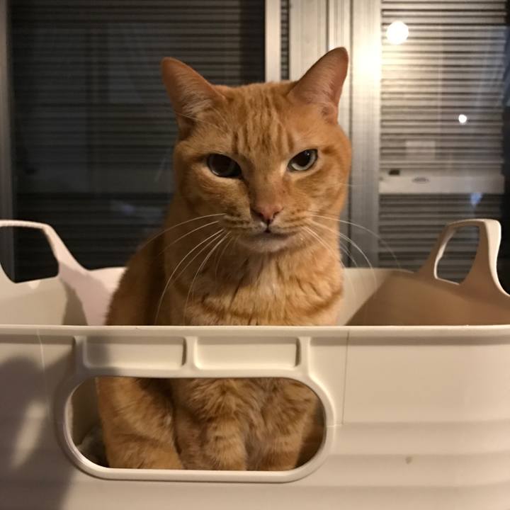 8e5699a3 845a 4d3e a238 6d9cdb76bf91